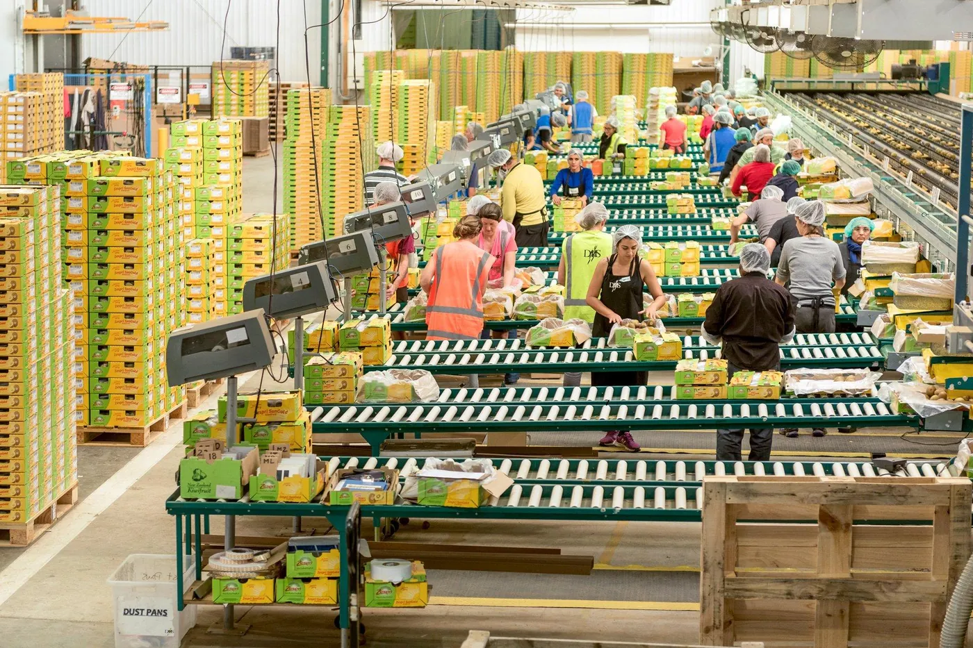 Packing line